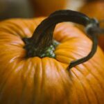 Tantalizing Tatume Squash Recipes