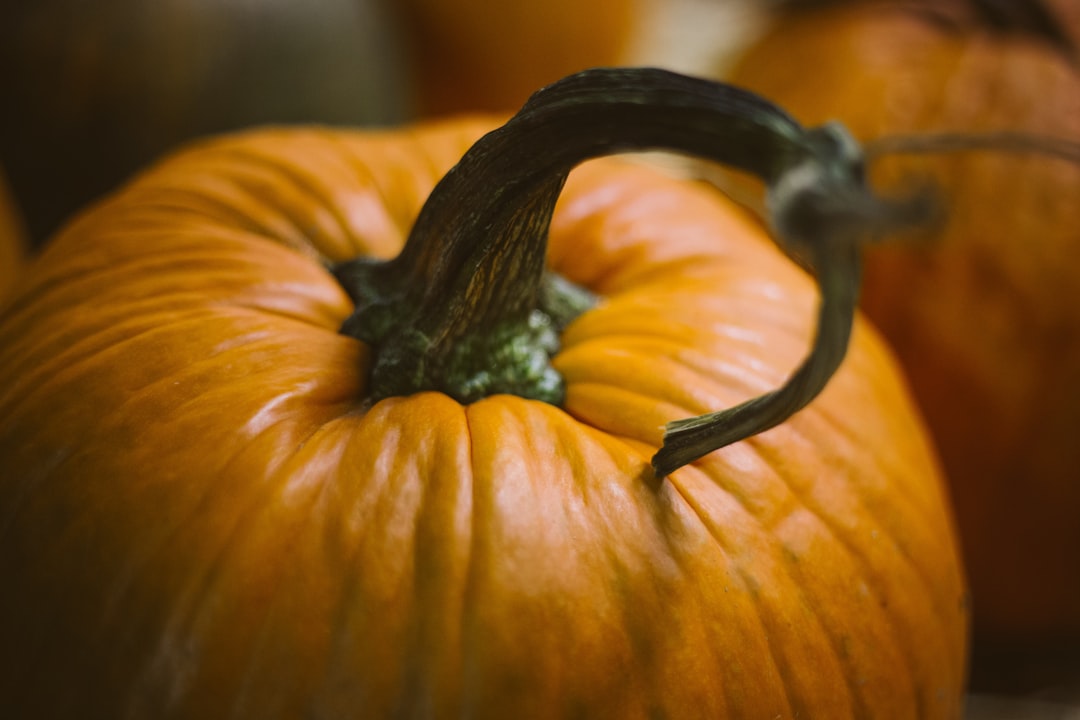 Photo Stuffed squash